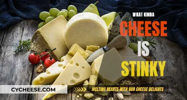 Stinky Cheese: What's That Smell?