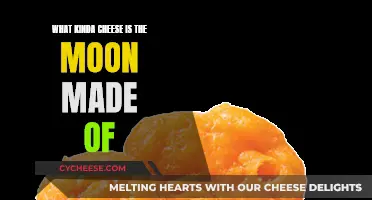 Moon Cheese: A Space Mystery Unveiled