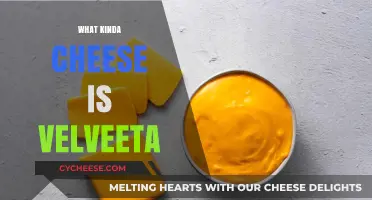 Unveiling the Mystery: Is Velveeta a Cheese?