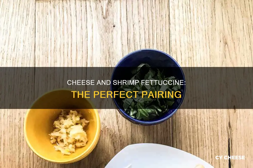 what kinda cheese should i use for shrimp fettuccine
