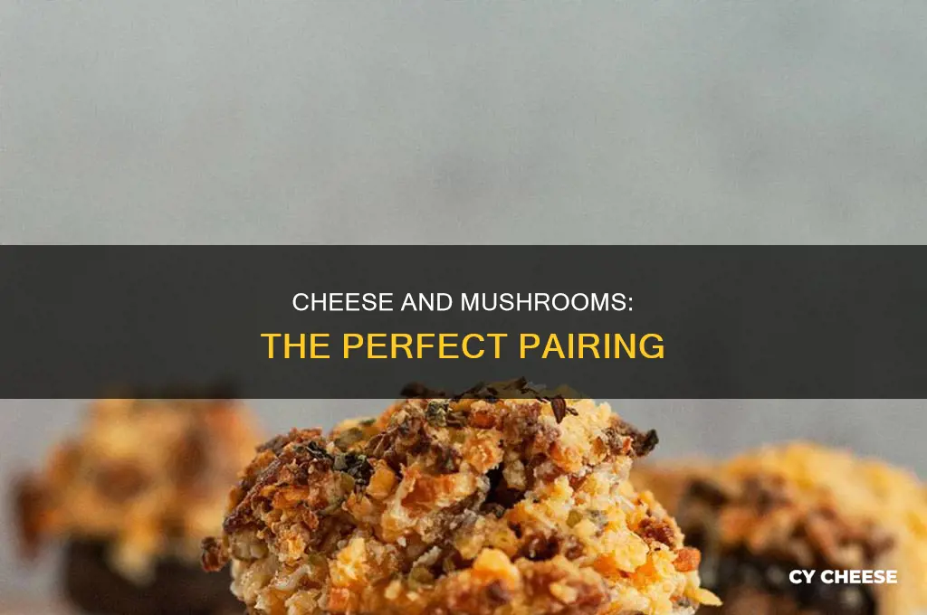 what kinda of cheese do you use for stuffed mushrooms