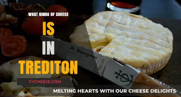 Unveiling the Cheesy Secret: What's in Trediton's Cheese?