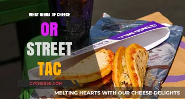 Cheese or Street Tacos: A Tasty Dilemma