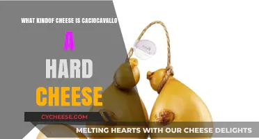 Is Caciocavallo a Hard Cheese? Exploring Its Texture and Type