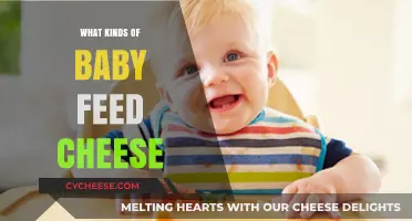 Exploring Baby-Friendly Cheeses: A Guide to Safe and Nutritious Options