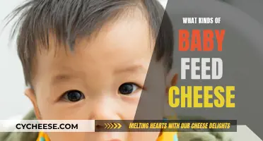 Baby's First Cheese: Safe and Healthy Options