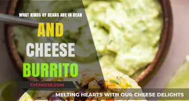 Burrito Bean Blend: A Cheesy Bean Adventure