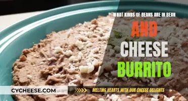 The Ultimate Guide to Beans in Burritos