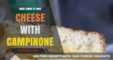 Brie and Campinone: A Perfect Pairing? Discover the Best Brie Varieties