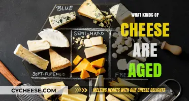 Exploring the World of Aged Cheeses: A Guide to Flavorful Delights