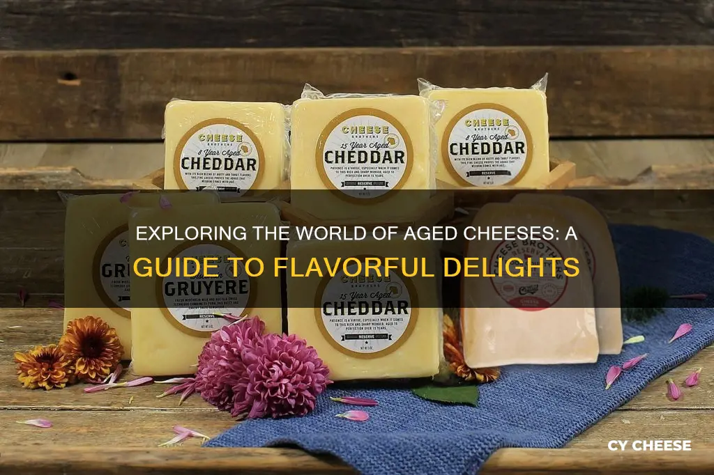 what kinds of cheese are aged