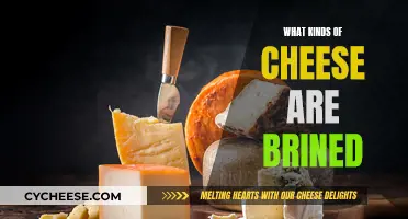 Brined Cheeses: Exploring the Salty, Savory Side of Dairy