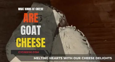 Goat Cheese Varieties: A Comprehensive Overview