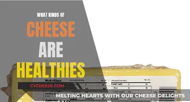 Healthy Cheese Options: What Types Should You Choose?