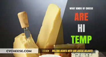 Exploring the World of Hi-Temp Cheeses: A Guide to Heat-Loving Varieties