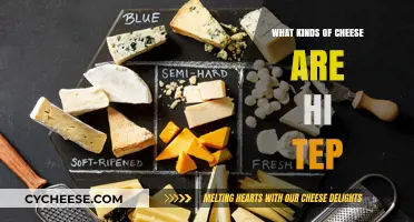 Exploring the Top Cheeses: A Tasty Adventure