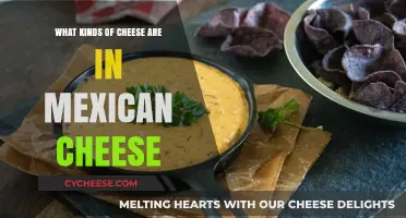 Exploring Mexico's Cheesy Delights: A Guide to Mexican Cheese Varieties