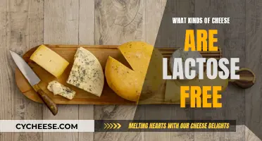Lactose-Free Cheese: Types and Tasty Options