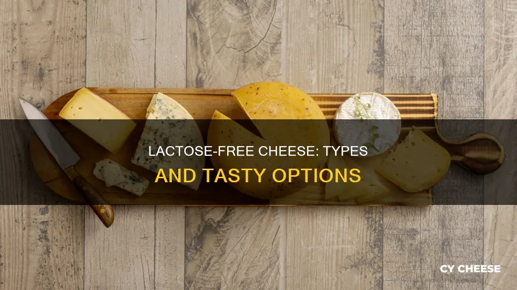 what kinds of cheese are lactose free