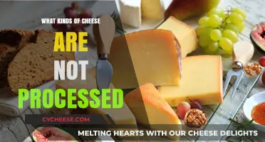 Exploring Natural Cheeses: Unprocessed Delights