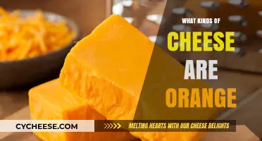 Unveiling the Bright Side of Cheese: Orange Varieties Explored