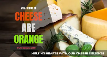 The Colorful World of Orange Cheeses: A Tasty Exploration