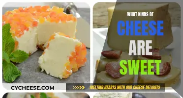 Sweet Cheeses: Exploring the Sugary Side of Dairy