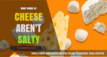 Unsalty Cheeses: A Guide to Mild and Mildly Flavored Varieties