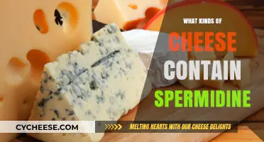 Uncover the Cheesy Secret: Spermidine's Surprising Presence in These Dairy Delights