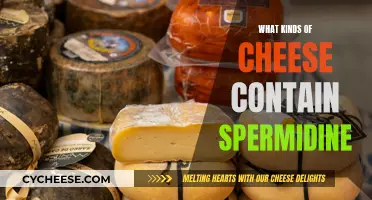 Cheese Varieties Rich in Spermidine: A Quick Guide