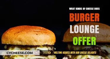 Burger Lounge's Cheesy Delight: A Tasty Adventure