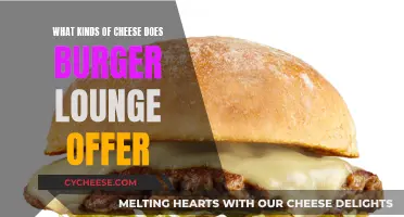 Burger Lounge's Cheese Offerings: A Comprehensive Overview