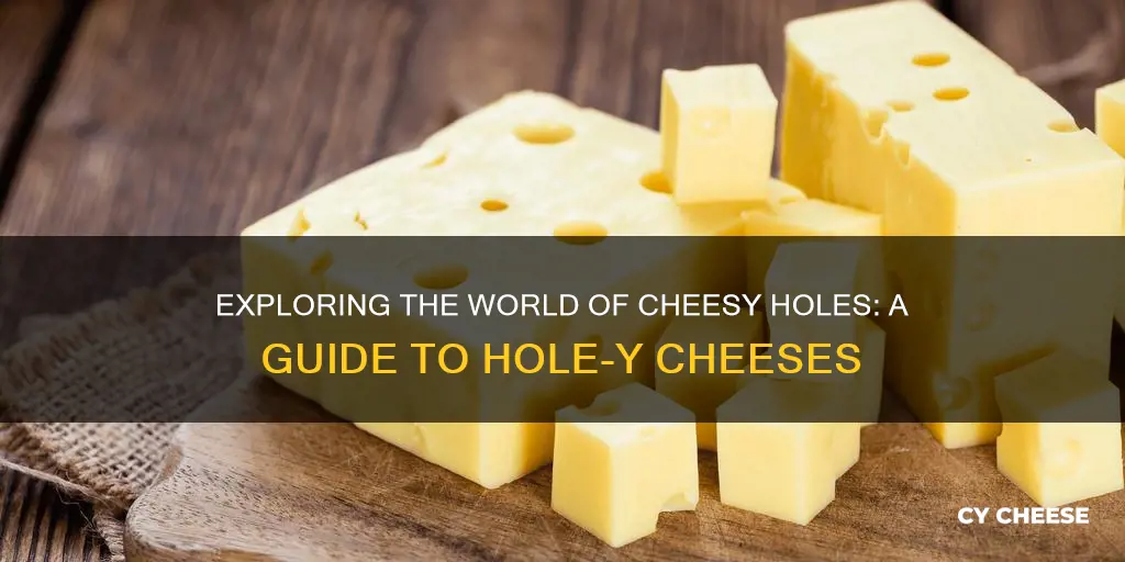 what kinds of cheese has holes in it