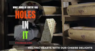 The Mystery of Cheeses With Holes