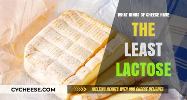 Lactose Intolerance: Top Low-Lactose Cheese Choices