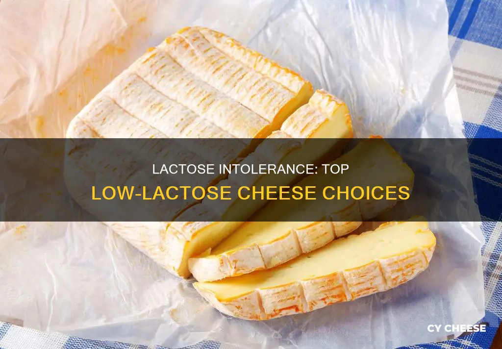 what kinds of cheese have the least lactose