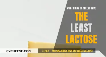 Cheese With Least Lactose: Enjoy Dairy Without Worry
