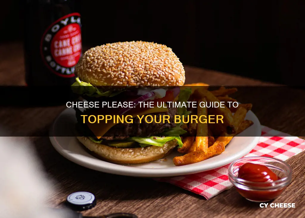 what kinds of cheese to purt on a burger