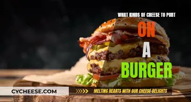 Burgers and Cheese: Perfect Pairing Guide