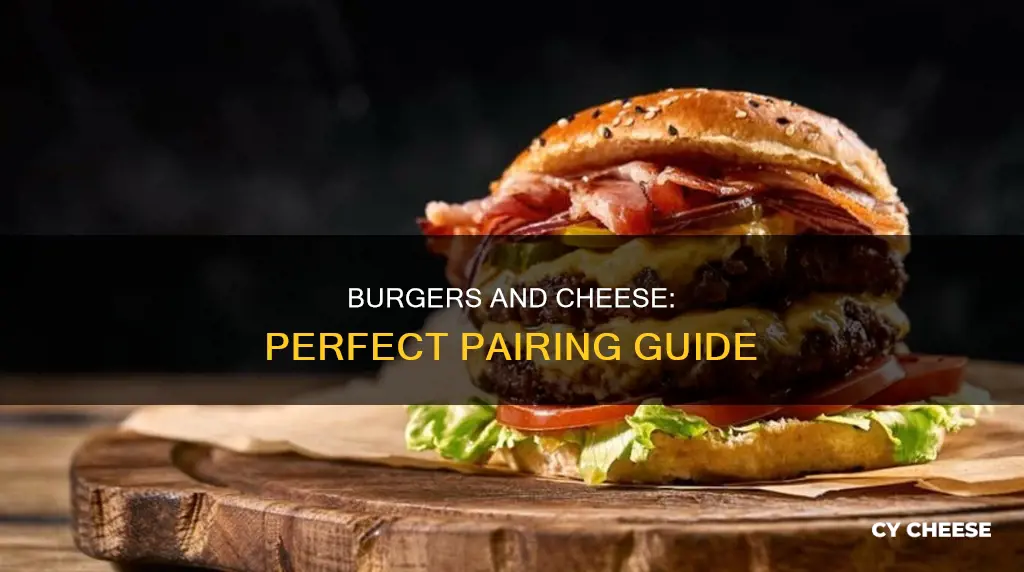 what kinds of cheese to purt on a burger