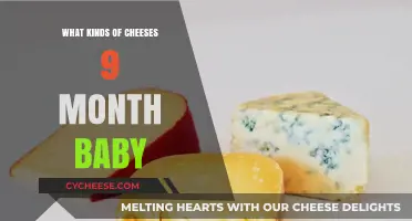 Exploring Cheeses for Your 9-Month-Old: A Guide to Safe and Delicious Options