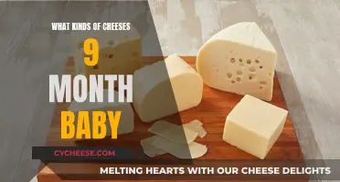 Introducing Cheese to Your 9-Month-Old: Safe Types and Tips