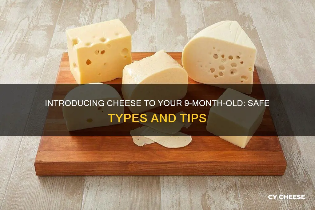 what kinds of cheeses 9 month baby