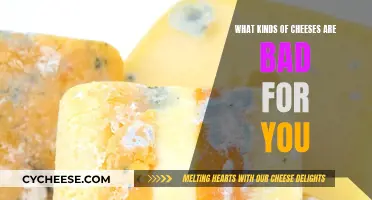 Cheeses to Avoid: The Unhealthy, Unwanted, and Unsafe