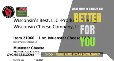 Cheese Nutrition: Which Varieties Are Healthier?