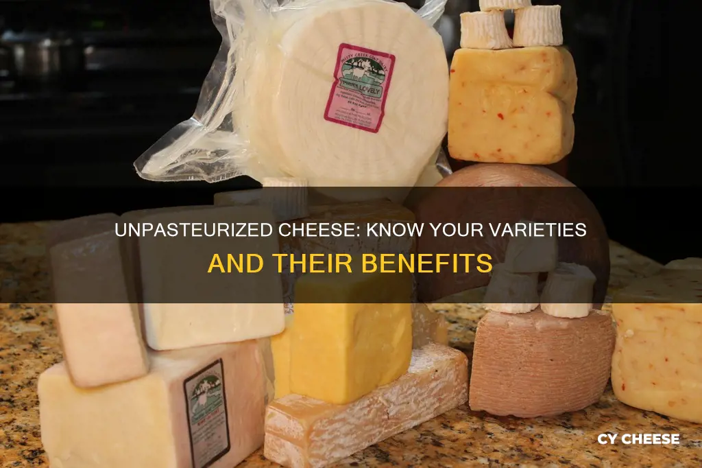 what kinds of cheeses are unpasteurized