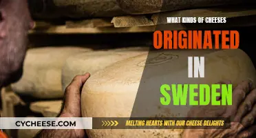 Swedish Cheese Specialties: A Tasty Cultural Journey
