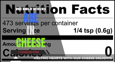 Cheese Nutrition: Unlocking the Nutrient Profile of Cheeses