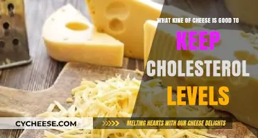 Cheese Choices to Lower Cholesterol: Healthy and Delicious Options