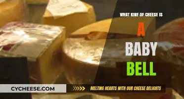 Unveiling the Mystery: What Kind of Cheese is a Babybel?